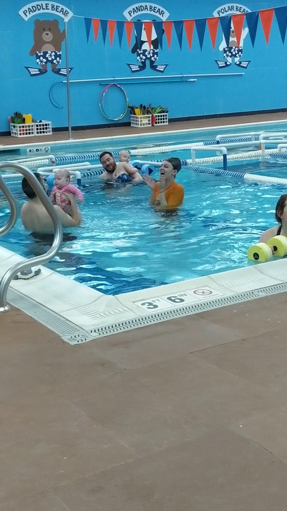  Bear Paddle Swim School - Florence