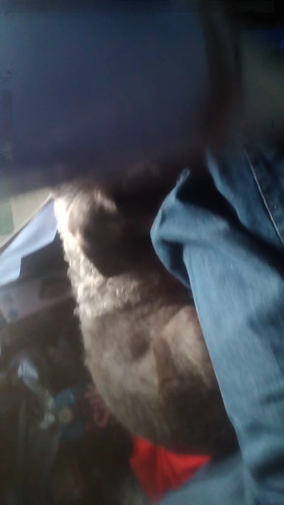  TGP Fit - Sacramento