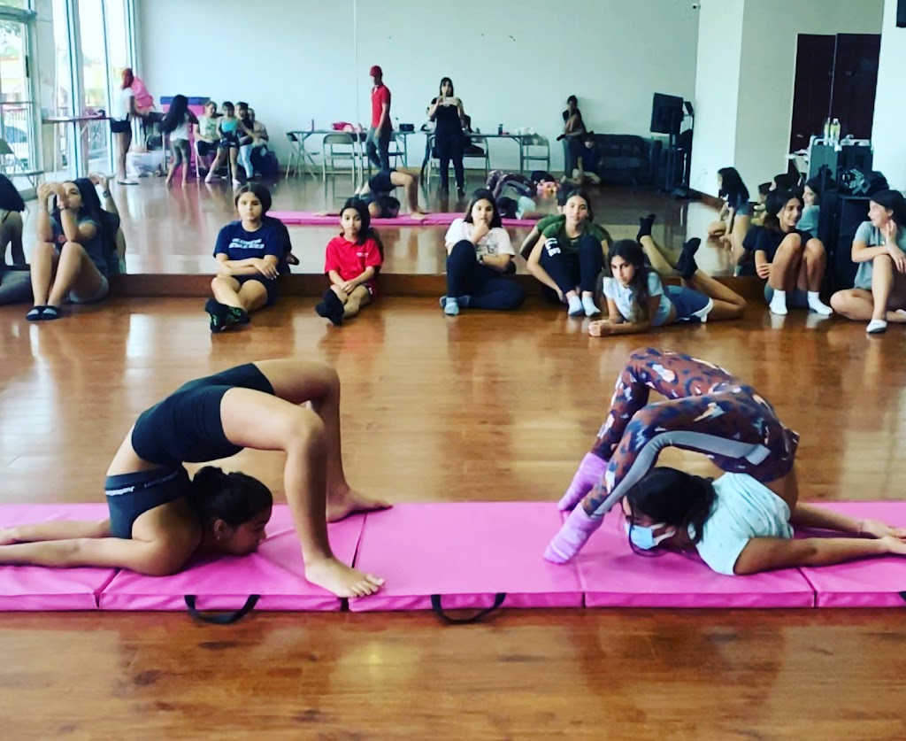  Mundo Arte Tampa LLC