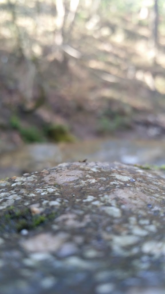  Ashland Tennis & Fitness Club