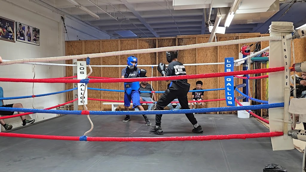  Los Gallos Boxing Club