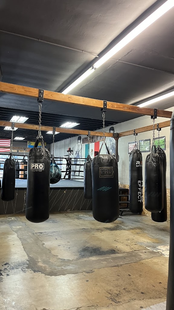  House of Boxing
