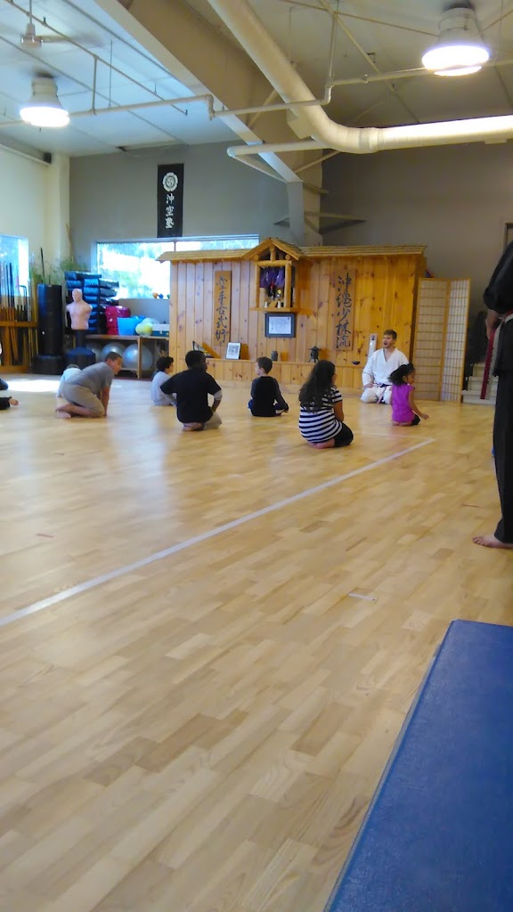  Okinawan Karate Academy