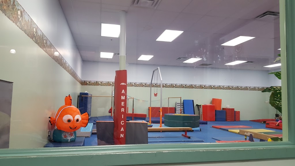  Aerial Express Gymnastics and Dance