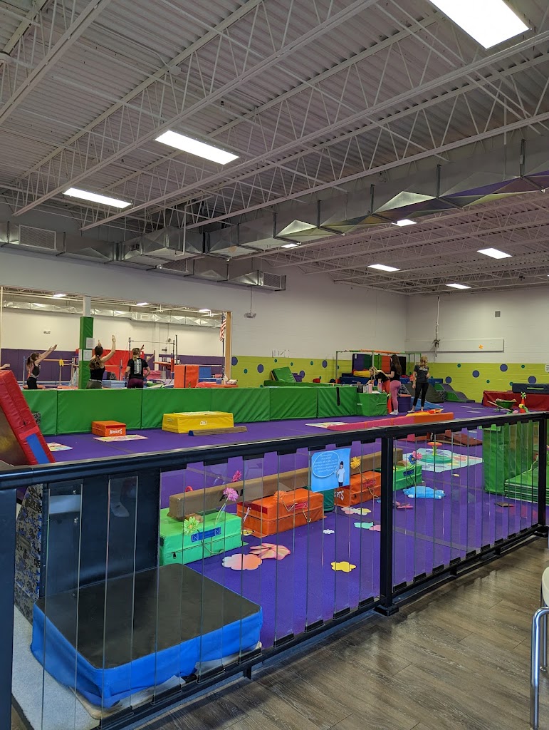  Cartwheels Gymnastics Center