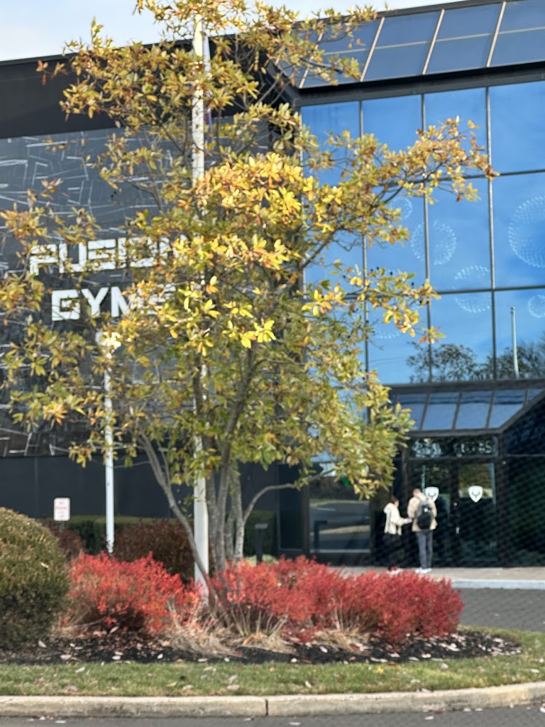  Fusion Gyms