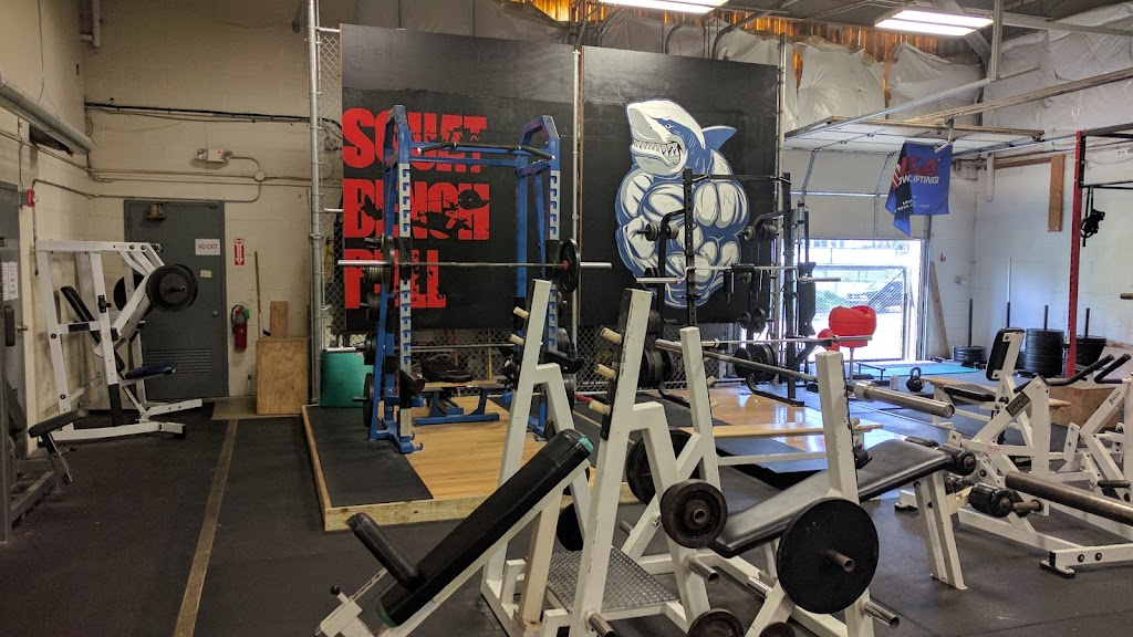  Chiseled Health and Fitness