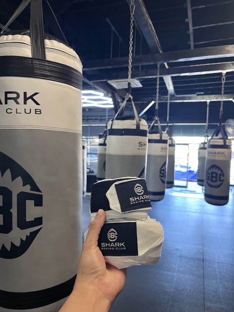 Shark Boxing Club