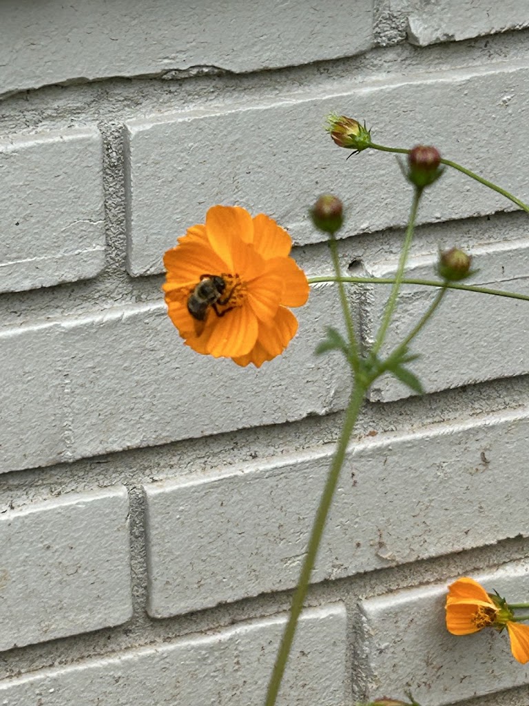  World of Gymnastics & Cheer