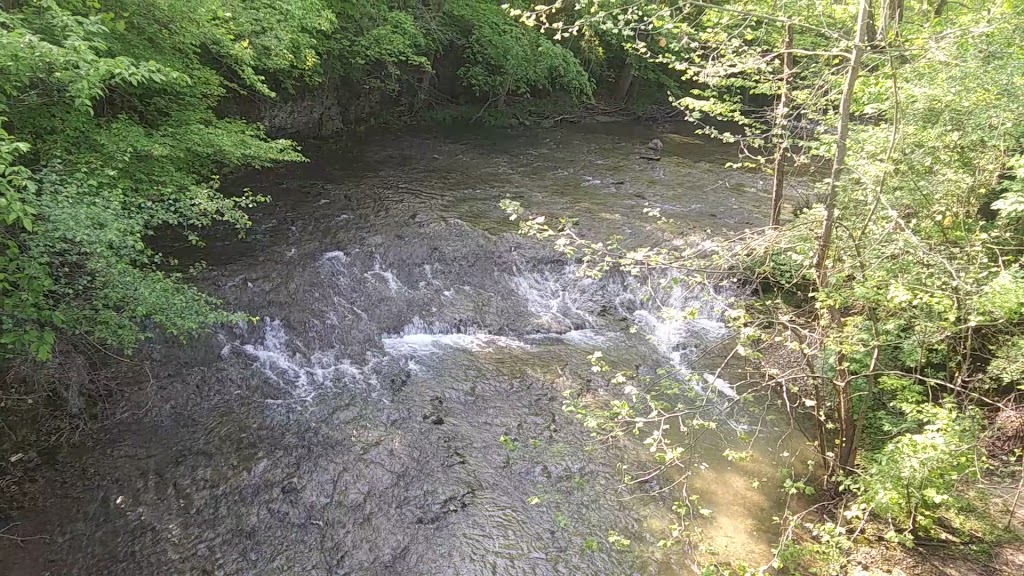  Strauss-Peabody Aquatic and Fitness Facility