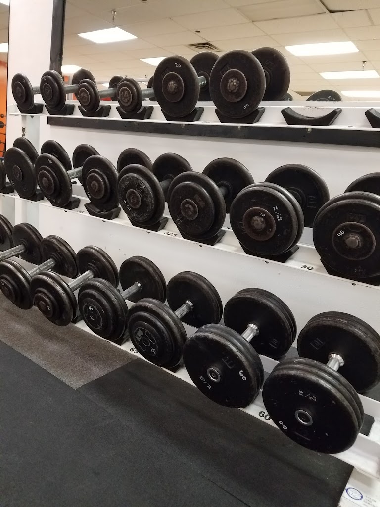  Body Evolution North