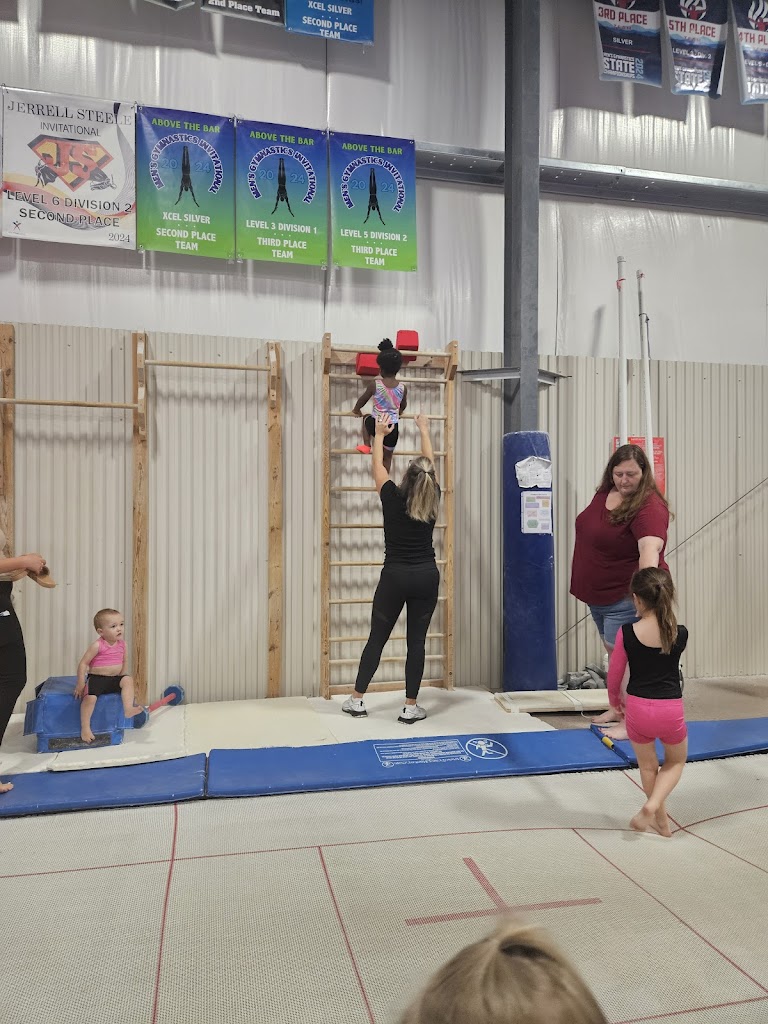  World Class Gymnastics Too