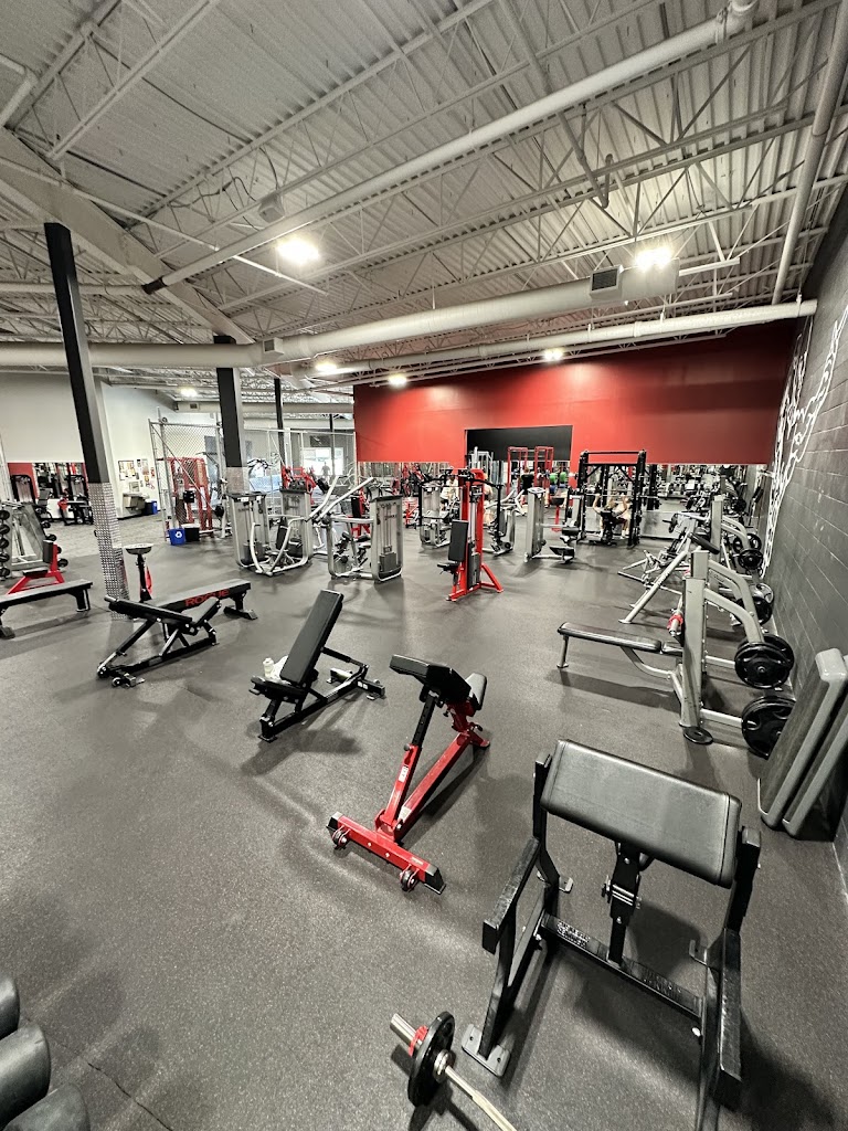  Los Campeones Gym Eden Prairie