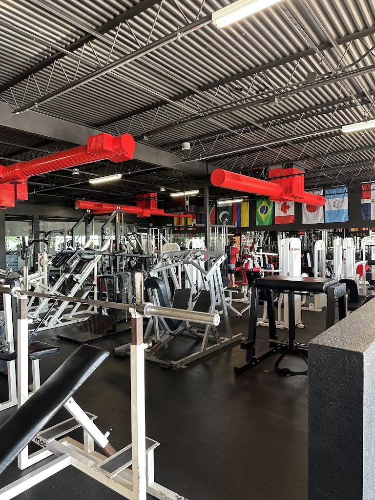  World Champ Training