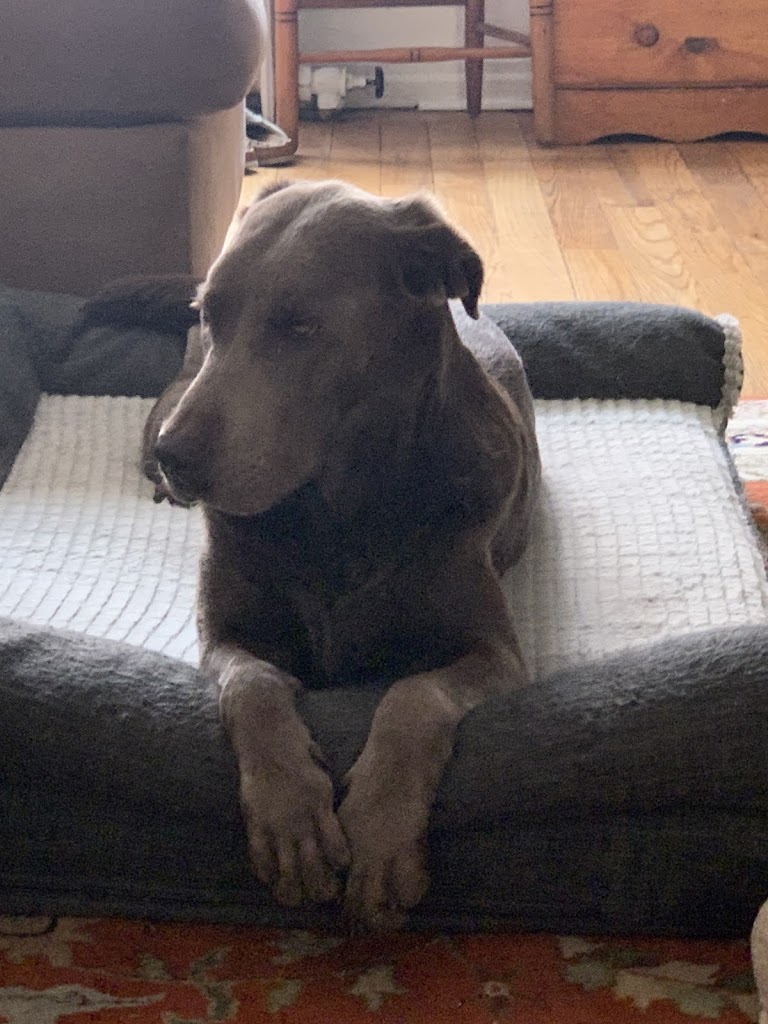  IM=X Pilates Middle Village, NY