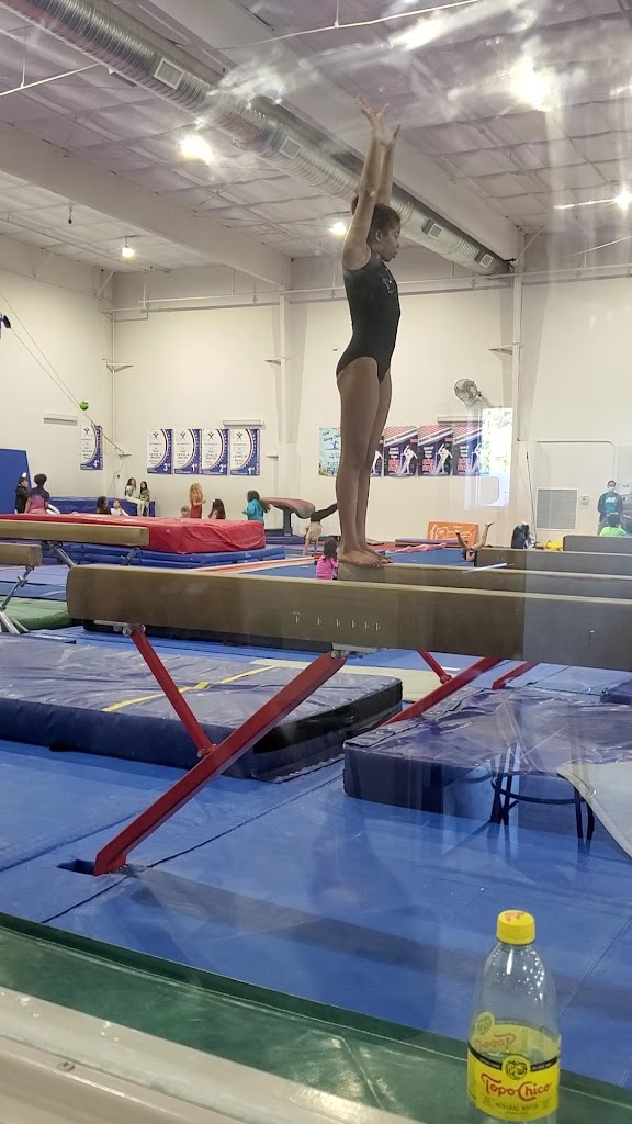  Love Gymnastics