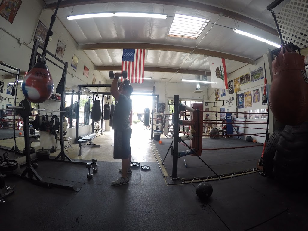  The Shop. Strength and Fitness