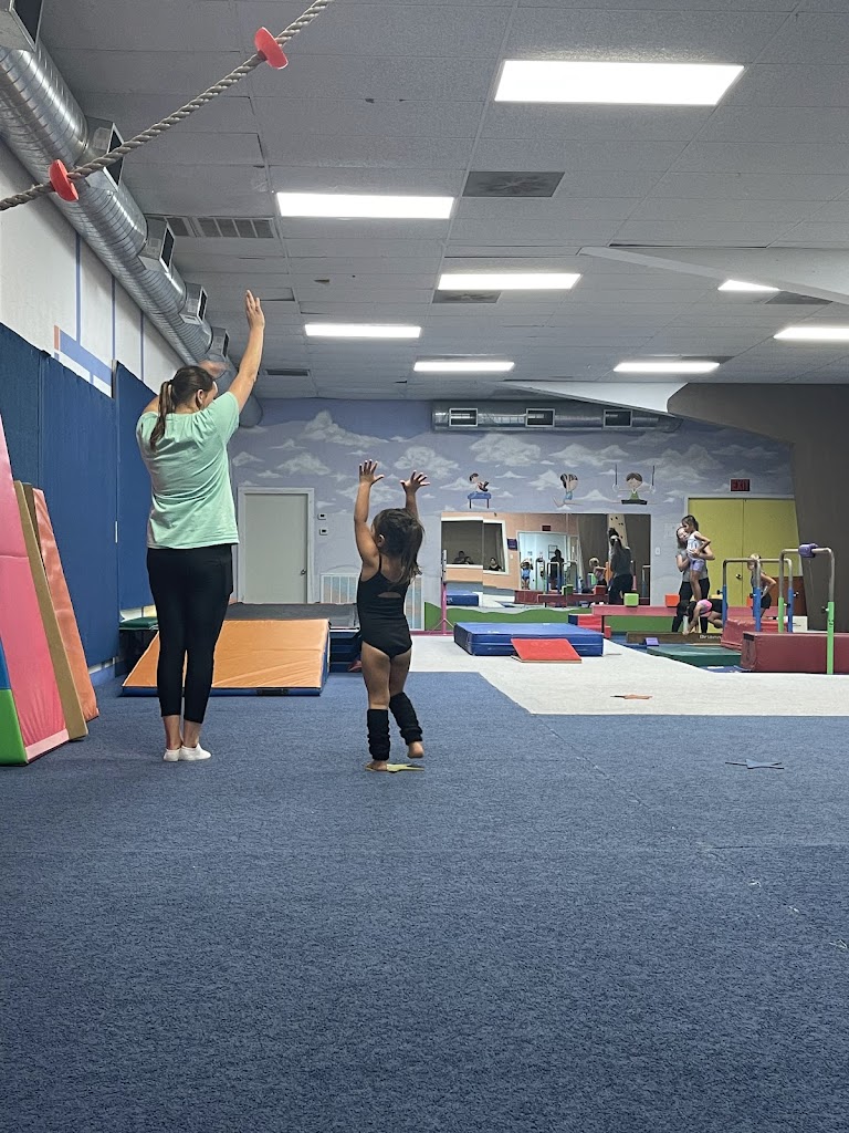  Texas Academy of Acrobatics and Gymnastics