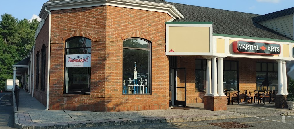  Renegade Martial Arts & Leadership Academy