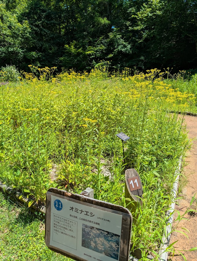  Gibbco Enterprises Inc