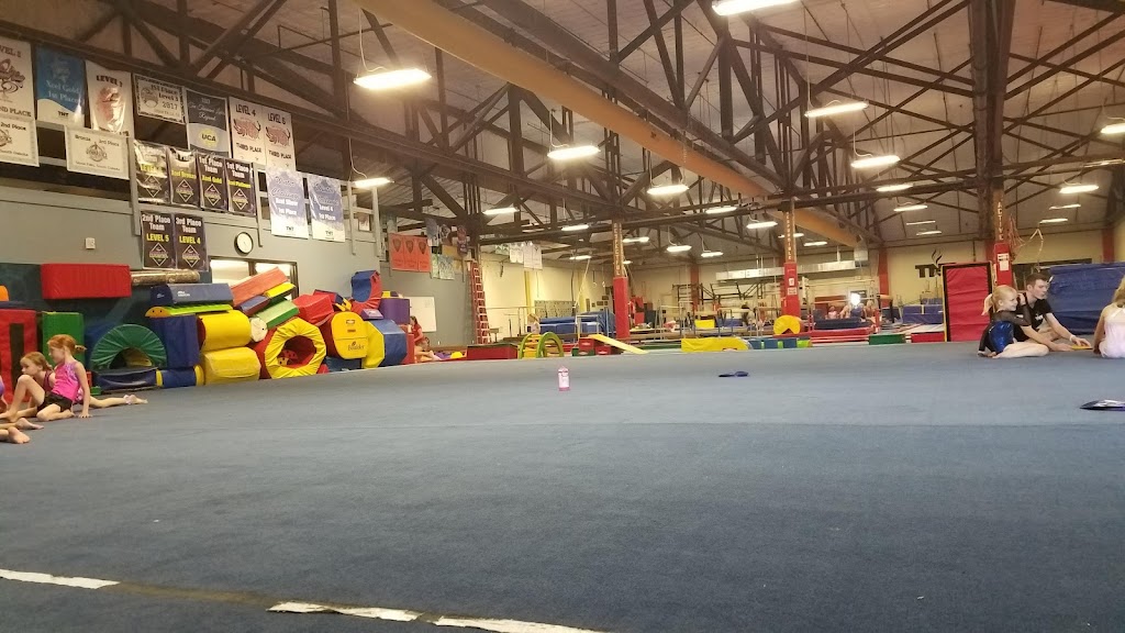  TNT Kid's Fitness & Gymnastics