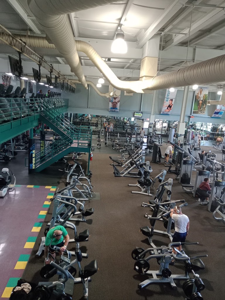  The Forum of Salisbury