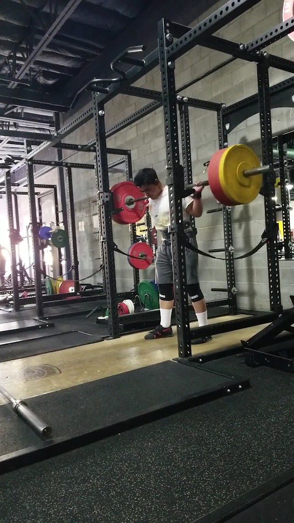  American Barbell Clubs