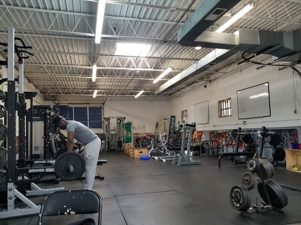  Fitness First Training Services