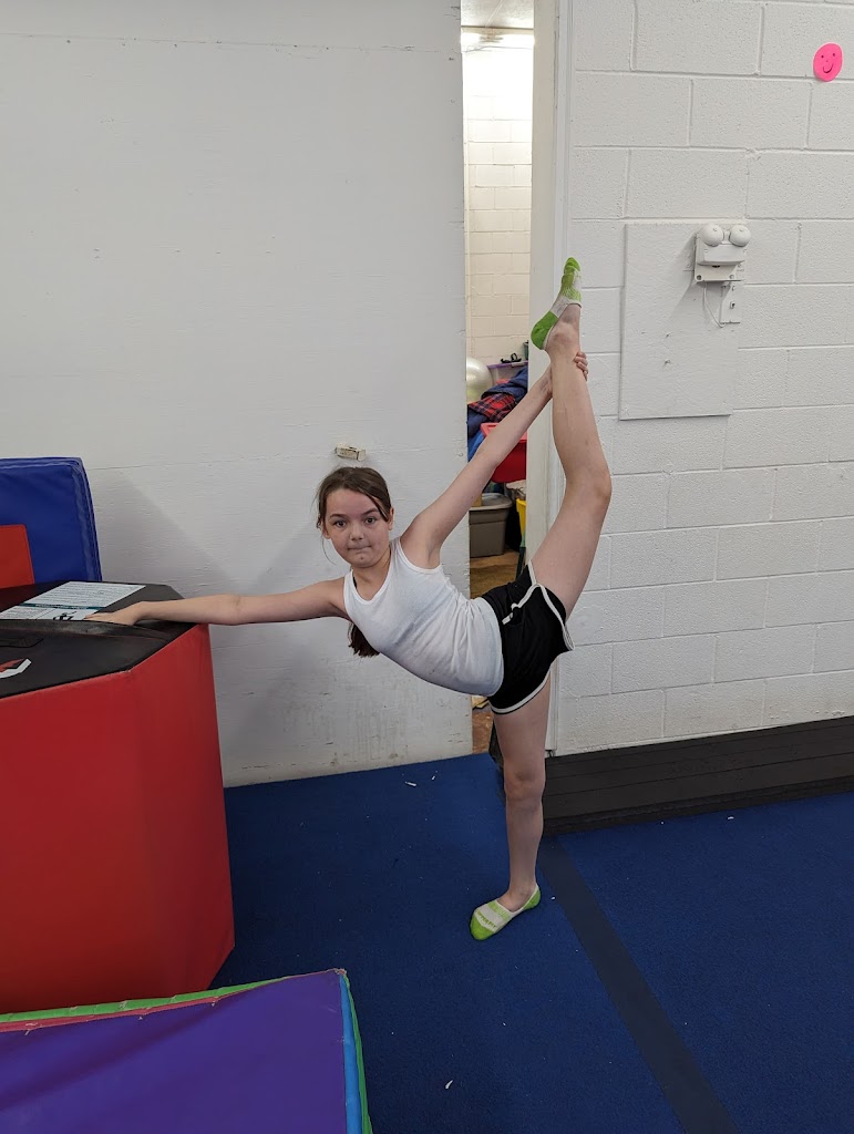  Lou's Academy & Training Center