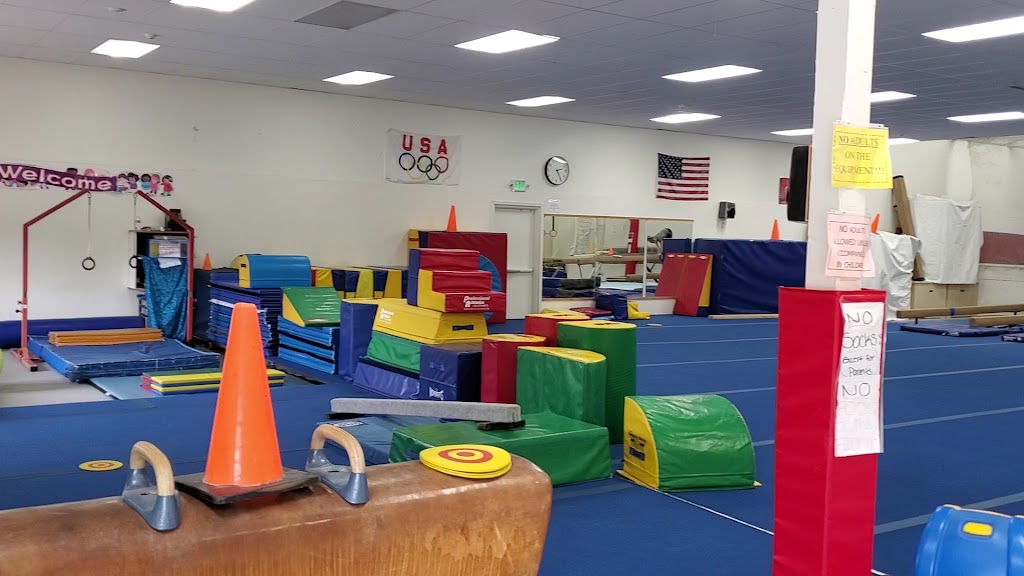  Flips For Kids Gymnastics Center