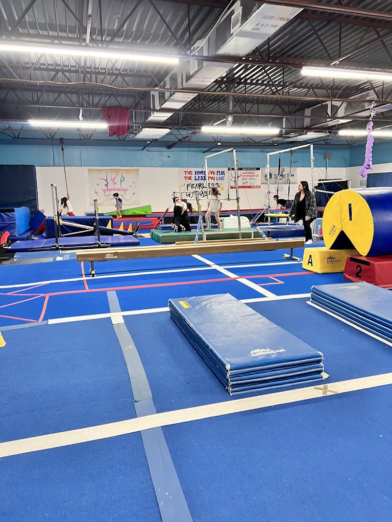  Fearless Gymnastics