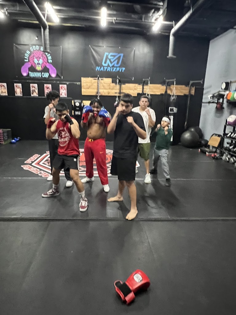  Lion God Boxing
