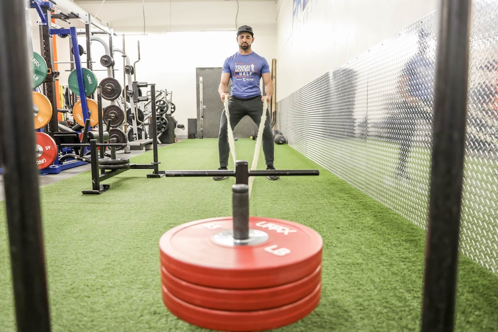  ProActive Strength Training