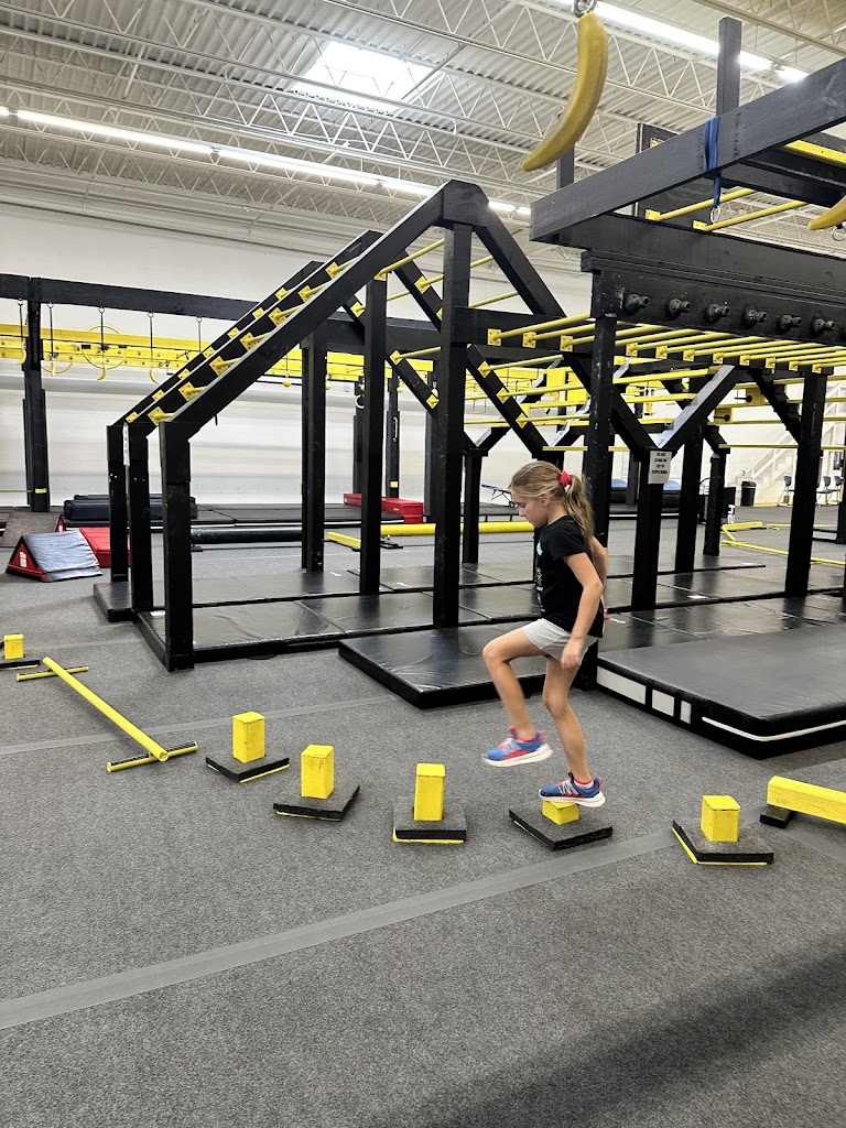  The Ninja Hive - American Ninja Warrior Gym