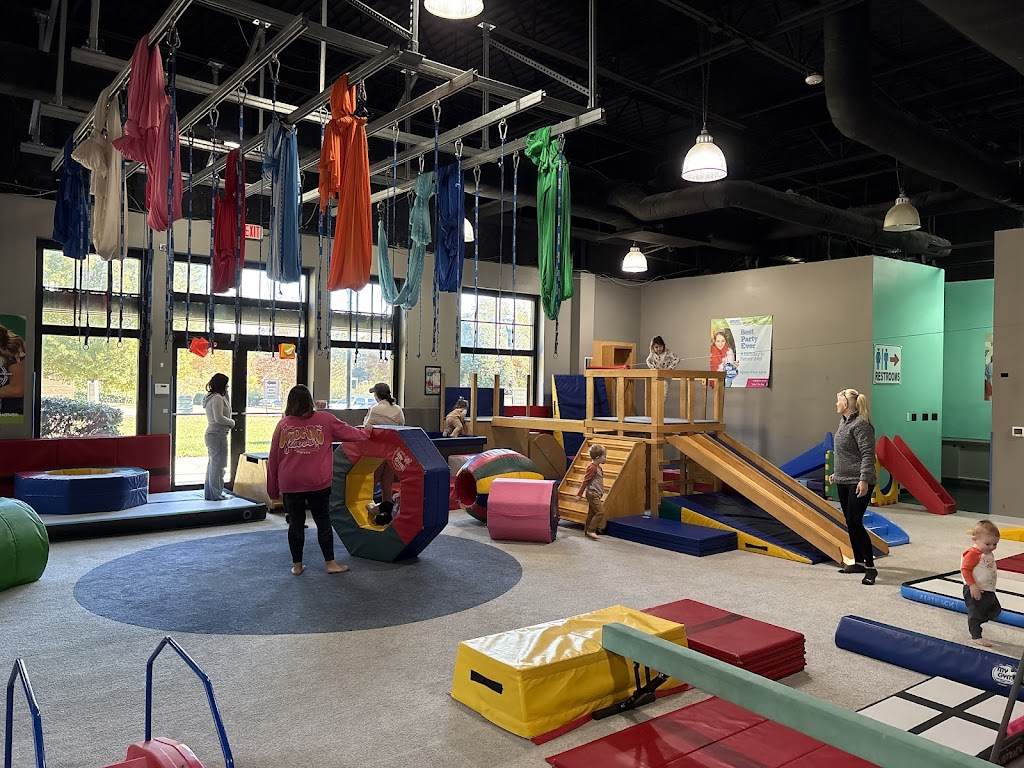  My Gym(Children's Fitness Center)