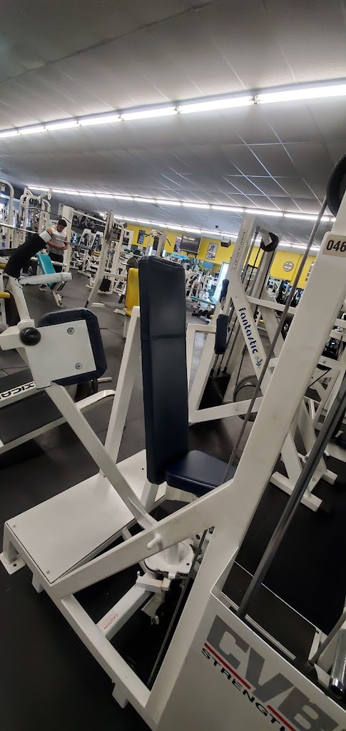  East Coast Muscle & Fitness