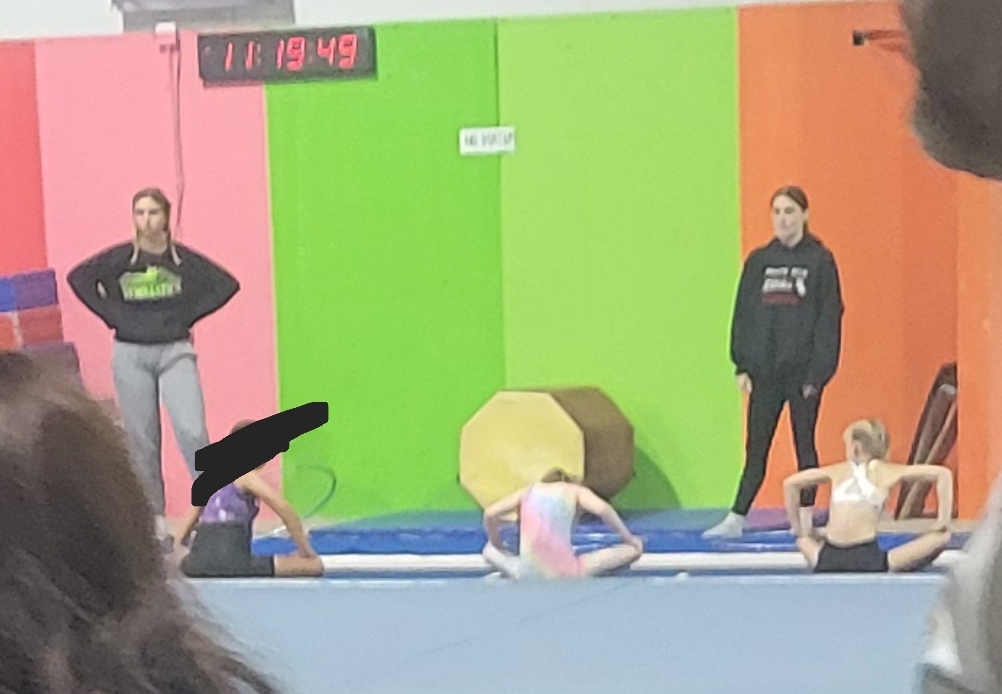  Lisa's Gymnastics