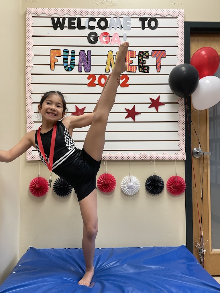  Georgia Gymnastics Academy Inc