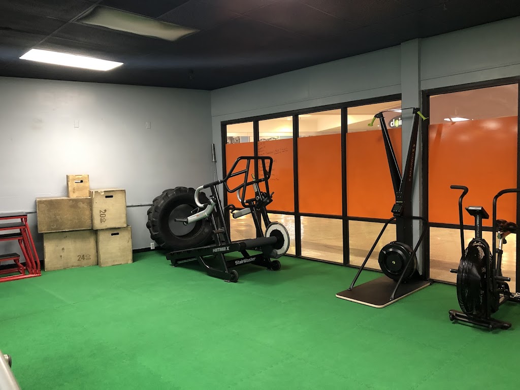  Body Evolution North