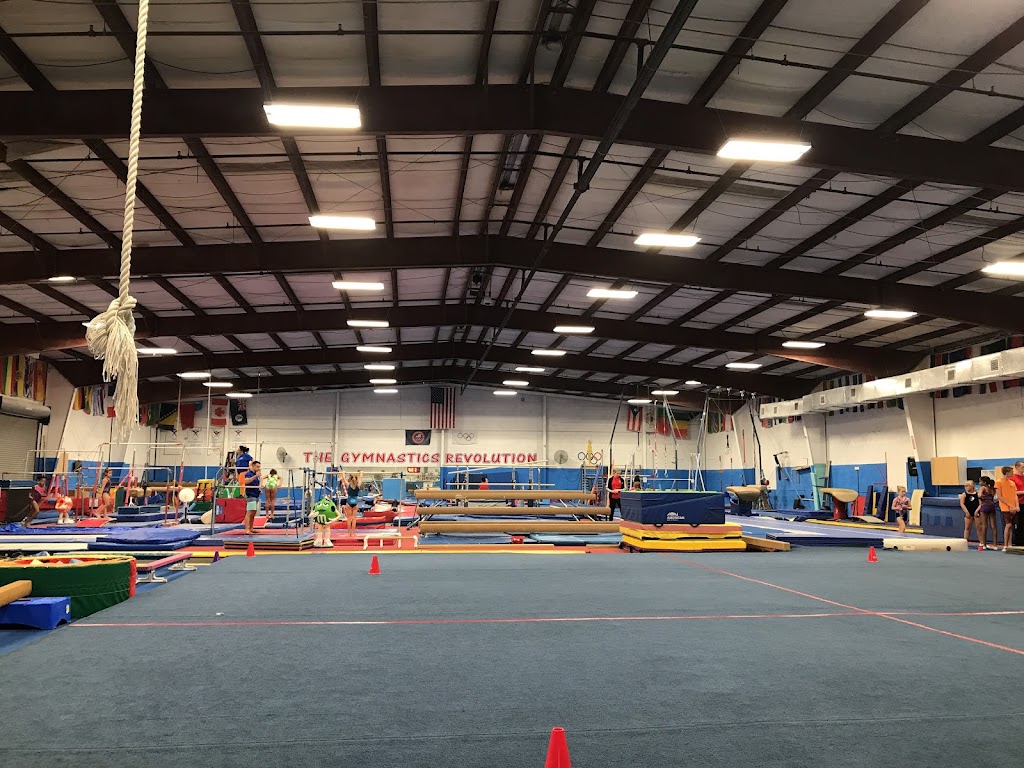  The Gymnastics Revolution