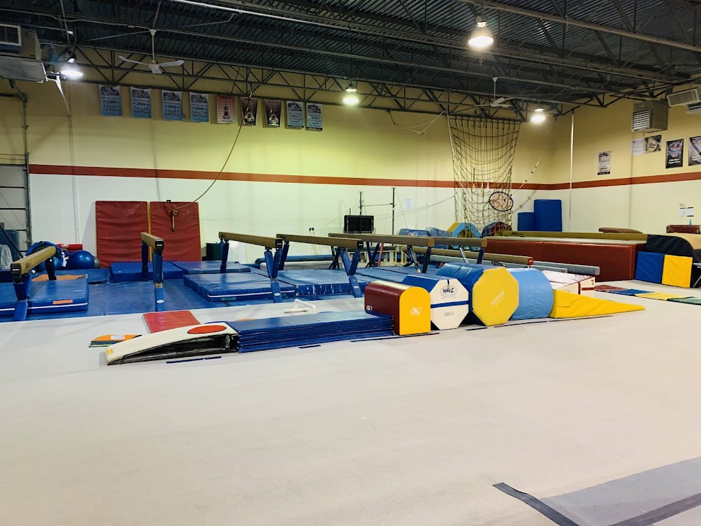  The Gymnastics & Cheerleading Academy