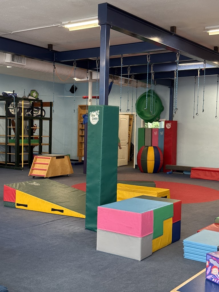  My Gym Bellevue Children's Fitness Center