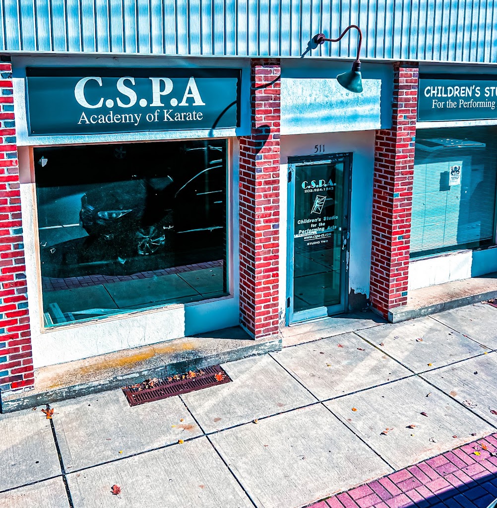  Children's Studio for the Performing Arts - CSPA