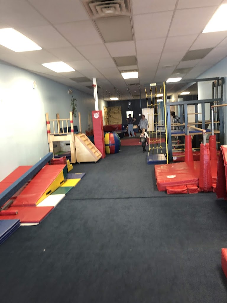  My Gym Children's Fitness Center