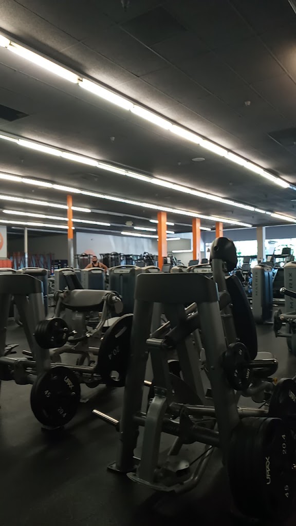  California Ripped Fitness