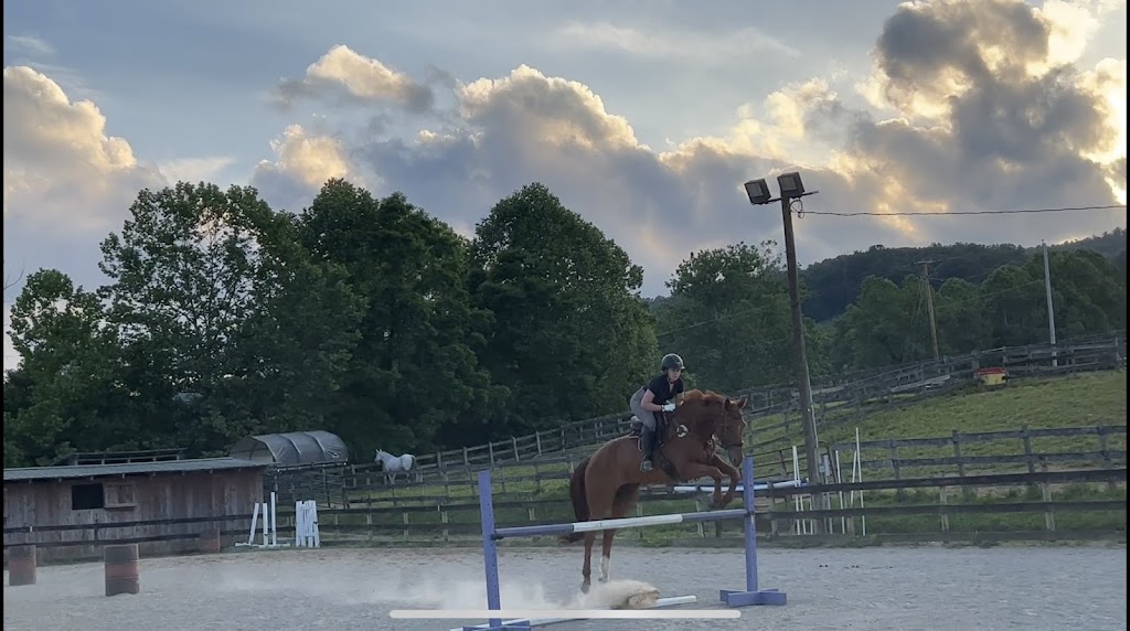  LivFit Muscle System Care