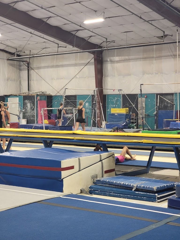  Technique Gymnastics