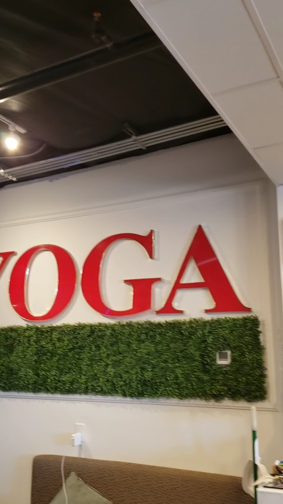  Blue Buddha Collective