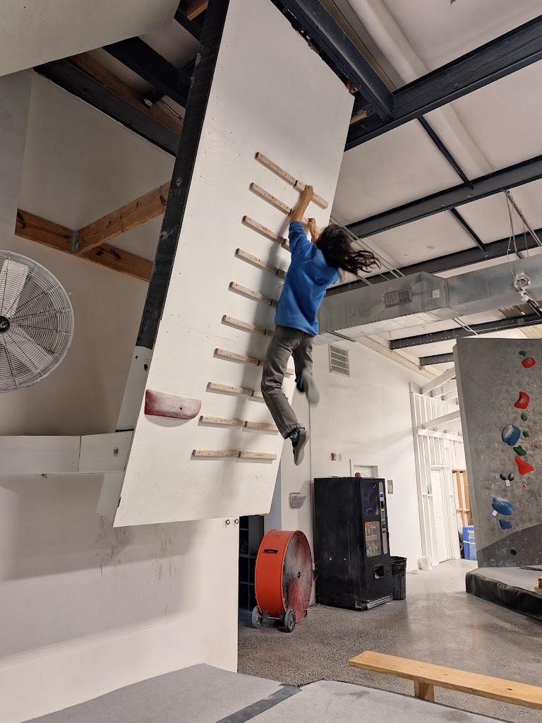  Progression Climbing