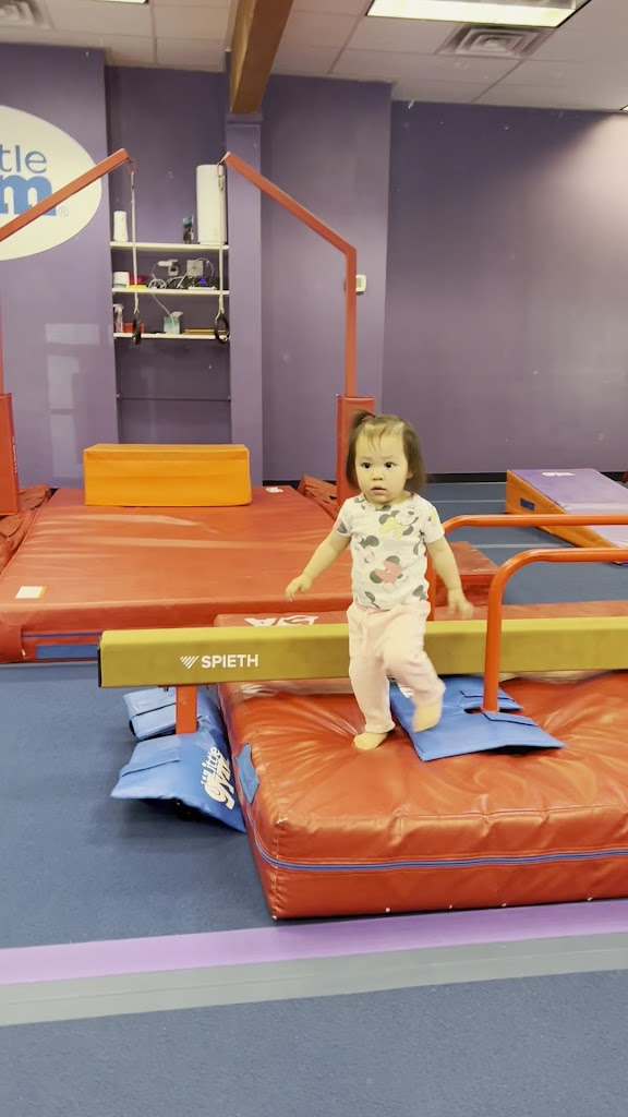  The Little Gym of West Seattle